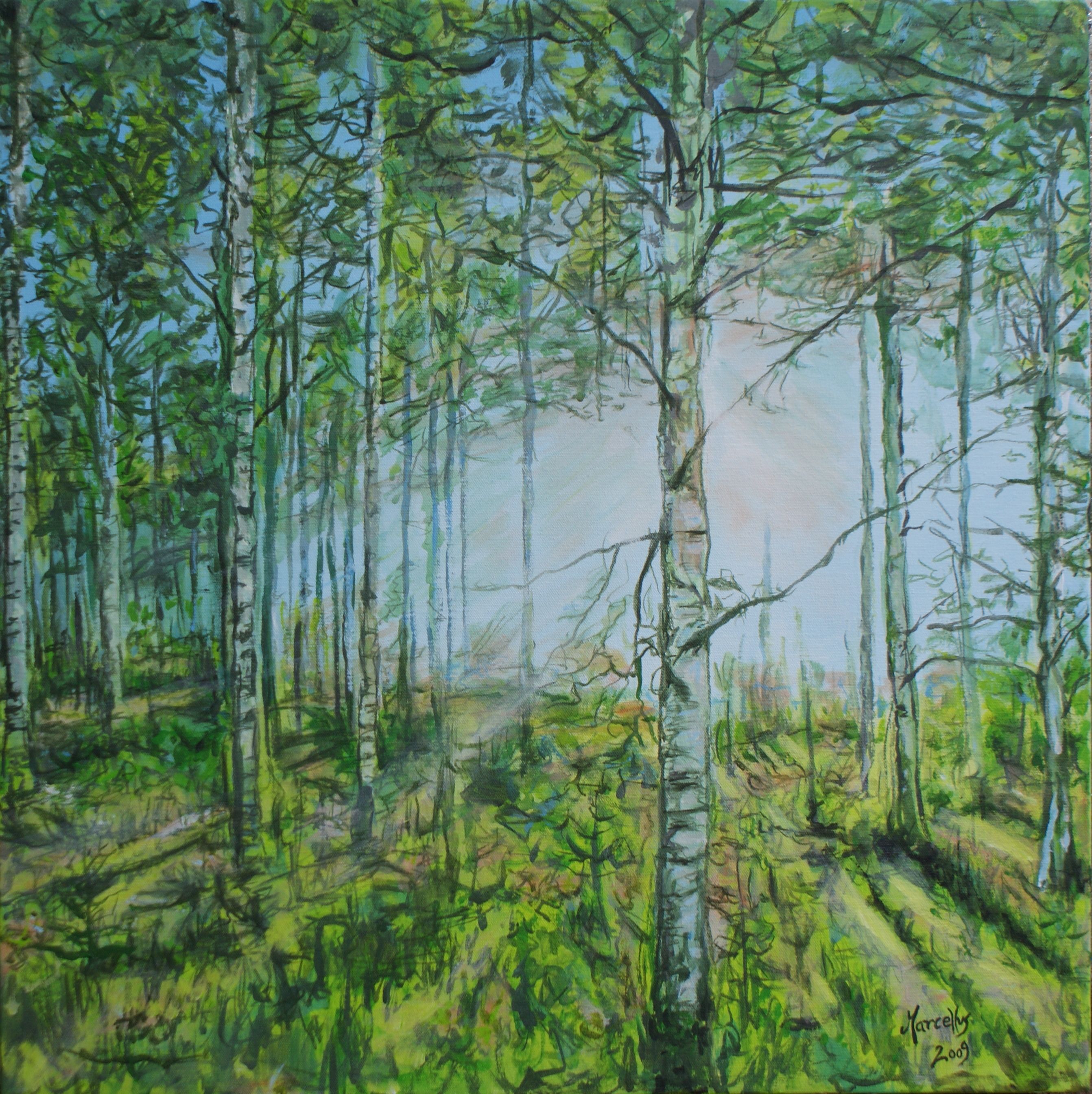 Birch forest