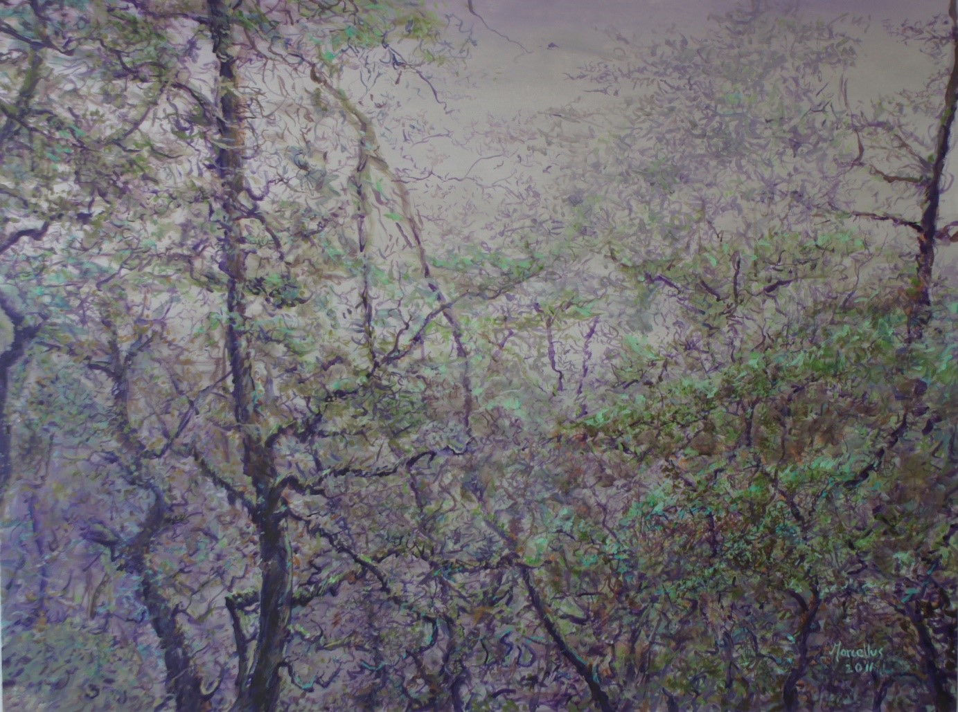 Wald im Nebel