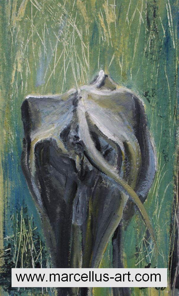 Wasserbüffel