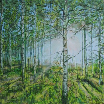 Birch forest